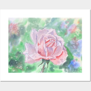 A rose with dew drops Posters and Art